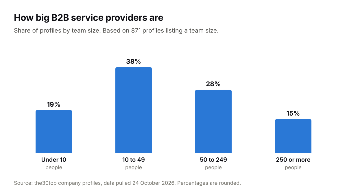 Bar chart of provider team sizes: 19% have fewer than 10 people, 38% have 10 to 49, 28% have 50 to 249 and 15% have 250 or more.